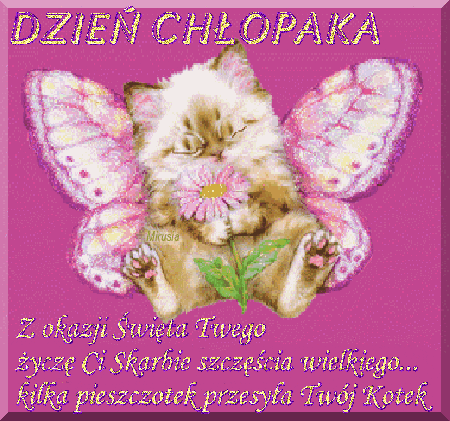 Kotek ze skrzydełkami i życzeniami na dzień chłopaka